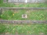 image of grave number 272259
